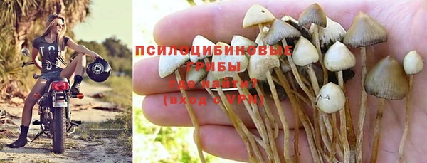 каннабис Алзамай